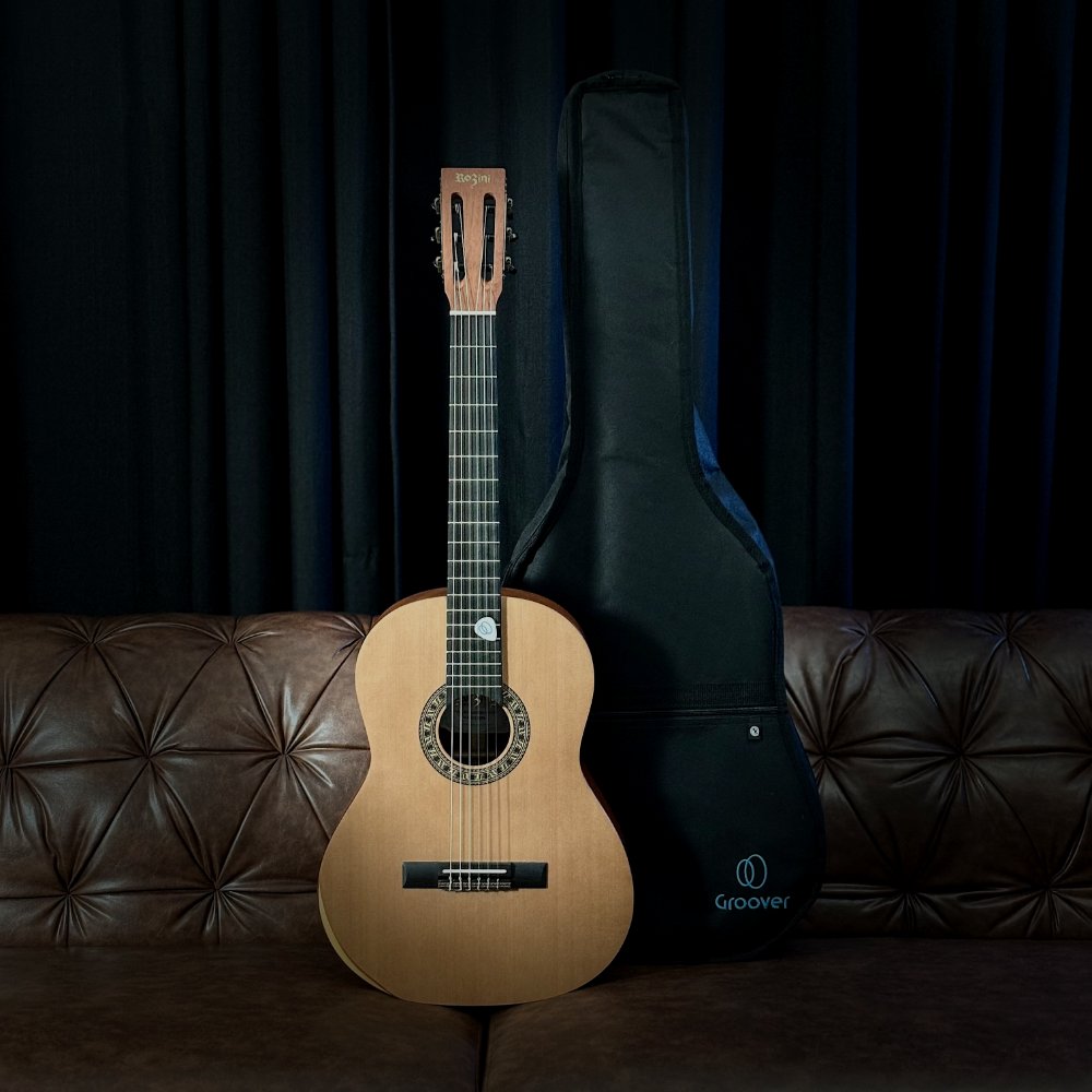 Violão Rozini Custom Clássico RX230 Todo Maciço Fosco Bag Groover