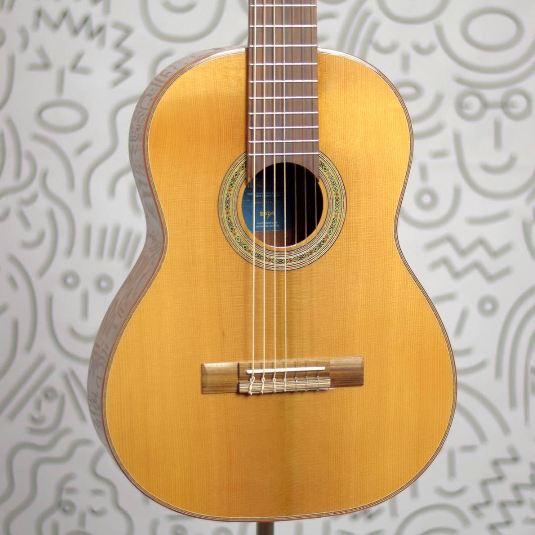 Violão Rozini RX721 Fishman Clásica Blend Eletroacústico 7 Cordas