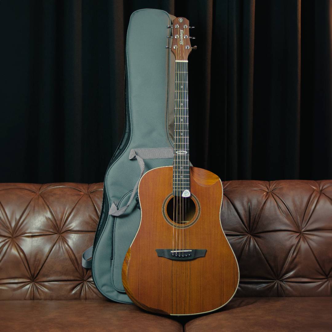 Violão Strinberg Galaxy SD301HCR Aço Folk com Efeitos Walnut Satin com Bag